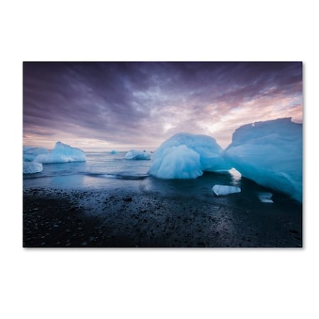 Philippe Sainte-Laudy 'Cold Light' Canvas Art,22x32